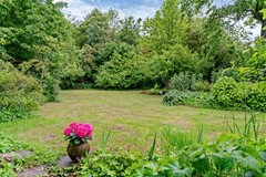 Tuin met hortensiapot.jpg